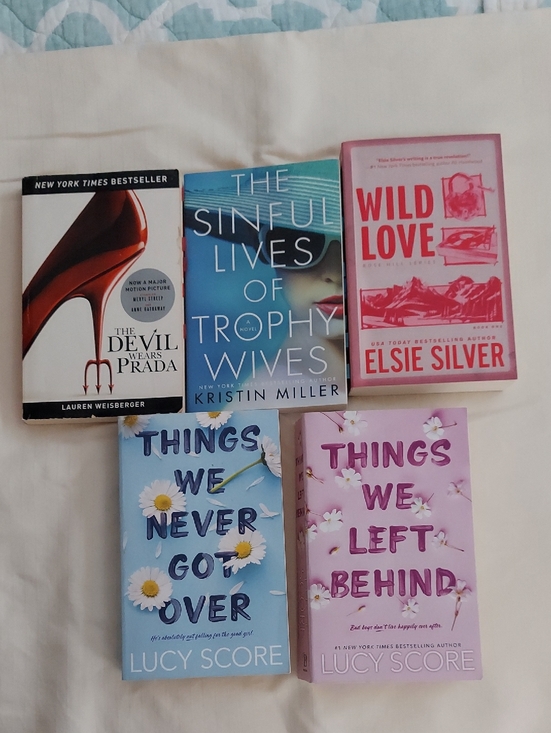 Barnes & Noble Other - Paperback Book Lot - Lucy Score, Lauren Weisberger,Kristin Miller, Elsie Silver